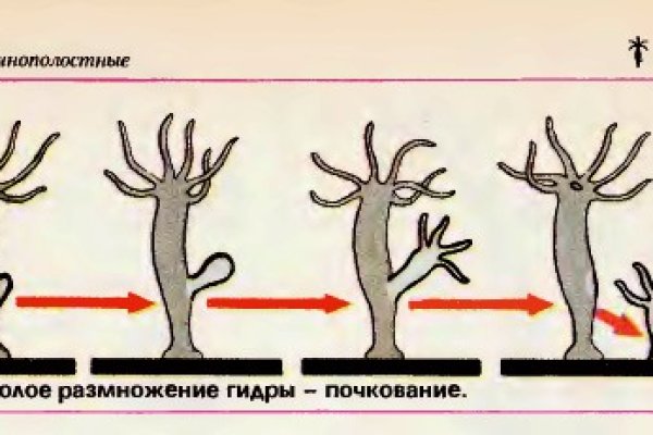 Как зайти на кракен тор
