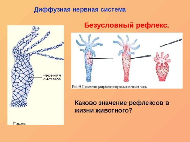 Kraken darknet зеркала кракен обход