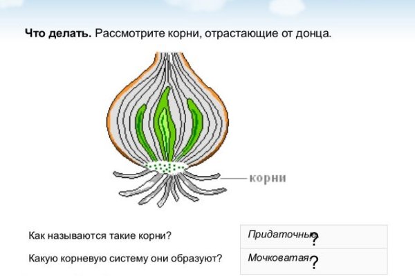 Кракен наркотики россия